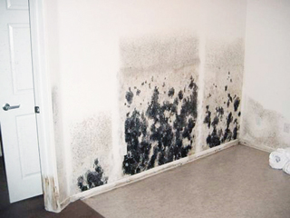 A páradús levegőjű helyiségekben a falak bepenészedhetnek